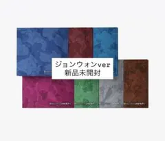 ENHYPEN THE SIN:VANISH FUGITIVES ジョンウォン