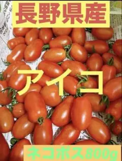 長野県産 ミニトマト アイコのサムネイル