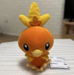 アチャモ ぬいぐるみ　アミューズ景品