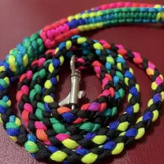 Item thumbnail for item 77b01862-3096-4411-ba87-01a0d0890668