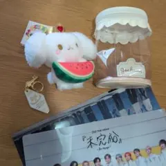 ゆきとも様　おまとめ専用です