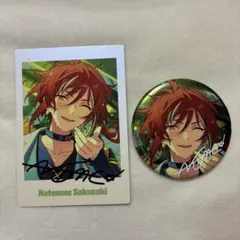 逆先夏目　缶バッジ　ぱしゃっつセット