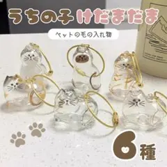 猫 けだまだま 6個セット キーホルダー 猫の毛入れ コンプリート メモリアル