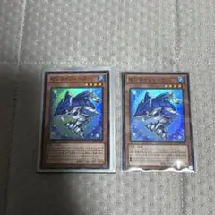 ゼンマイシャーク