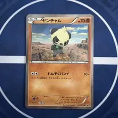 ヤンチャム PROMO XYシリーズプロモーションカード PROMO 015/…