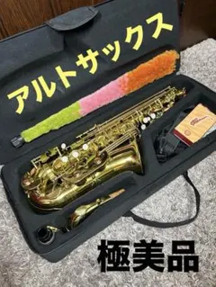 アルトサックス ノーブランド　極美品　初心者　数回のみ使用　ケース付きのサムネイル