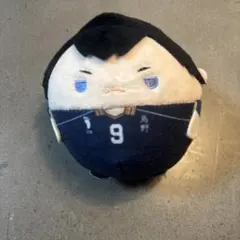 ハイキュー‼︎ ふわころりん 影山飛雄