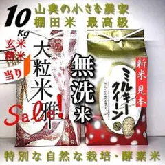 「無地ビニール袋での発送」大粒米／玄米１０キロ「無洗米に精米」 無地ビニール袋での発送」大粒米／玄米10キロ「無洗米に精米