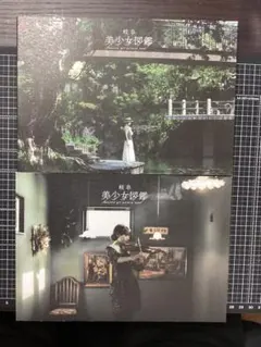 「岐阜美少女図鑑」 vol.29 vol.30 2冊セット