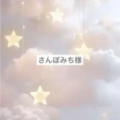 さんぽみち様専用ページ