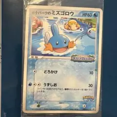 未開封 ポケパークのミズゴロウ 048/PCG-P ポケモンカードゲーム