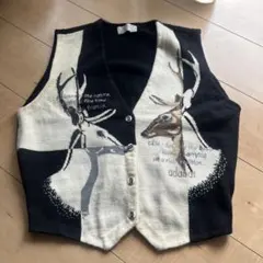 adabatニットベスト サイズⅡ