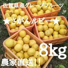 25玉〜27玉前後　さがんルビー　佐賀県産 箱込み8kg 　グレープフルーツのサムネイル