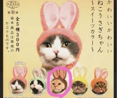 ガチャガチャ ねこのかぶりもの ねこうさぎちゃん スイーツカラー ショコラ
