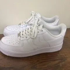 Item thumbnail for item 0055a910-2be0-4165-919b-54ac77502ac4