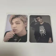 セブチ ディノ トレカ D'ICON