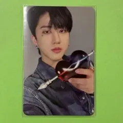 チャンビン トレカ Stray Kids MAXIDENT 封入 CASE盤