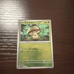 タマゲタケ C スカーレット&バイオレット 拡張パック ブラックボルト