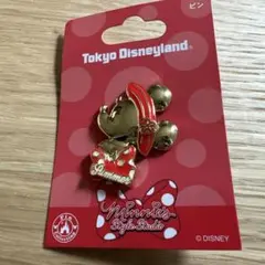 東京ディズニーランド ミニーマウス ピンバッジ