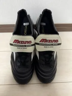 Item thumbnail for item 9bc1e90f-e03a-4d87-b716-0f474862a645