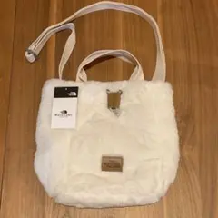 THE NORTH FACE ザノースフェイス 2WAY ミニショルダーバッグ