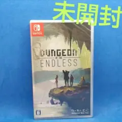 ダンジョン オブ ジ エンドレス Switch版