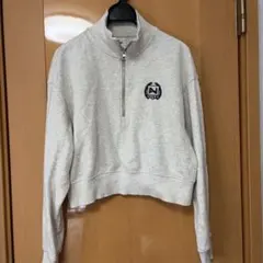 NIKE ハーフジップ スウェット グレー