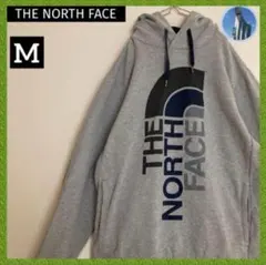 THE NORTH FACE×Taylor design パーカー
