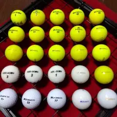 ゴルフロストボールキャスコ白黃25球