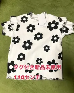 Item thumbnail for item 9272bd09-3015-49ee-84de-83d49583ba22