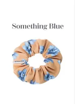 ALEXIA STAM シュシュ 新品のサムネイル