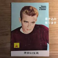 映画パンフレット / 理由なき反抗 / 当時物