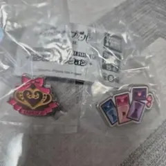 アイカツ　プリパラ　ピンズコレクション　パプリカ学園校章　プリチケ