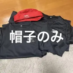 Item thumbnail for item 512a9435-3642-42d0-8d74-00e77294d93f