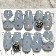 ネイルチップ バレエコア ウィッシュコア 羽 ブルーグレー バラ 星 現品