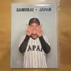 侍ジャパン　金丸夢斗　中日　プロマイド