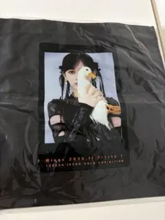 乃木坂46 池田瑛紗 スウェット L 個展 Wings あひるの夢 - メルカリ