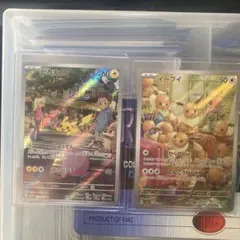 ピカチュウ イーブイ ARセット