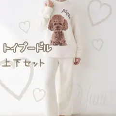 正規品♡パウダートイプードル♡上下セット♡DOG