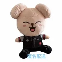 2026年最新】STRAYKIDS skzoo パピームの人気アイテム - メルカリ