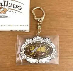 【サンダース】ポケパークカントー　ブイブイヴォヤージュ