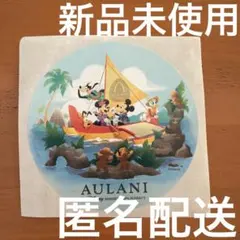 Disney AULANI ステッカー ミッキー　ハワイ　激レア　限定
