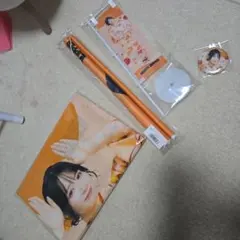 FRUITS ZIPPER 　S賞　鎮西寿々歌　見返り美人タペストリー などなど