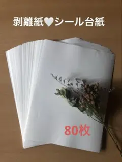 Item thumbnail for item de291409-0f4e-4431-8d72-9e8a9b3c9a2a