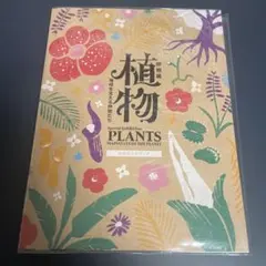 Item thumbnail for item 0b3a228b-bab9-4072-aceb-976956cee2df