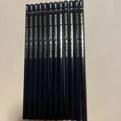 Item thumbnail for item 55041493-b495-4235-8090-670a8e39d013