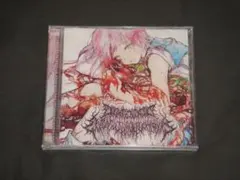 ゴアグライン〇LYMPHATIC PHLEGM 02年4-Way Split ゴアグライン〇LYMPHATIC PHLEGM 02年4-Way Split
