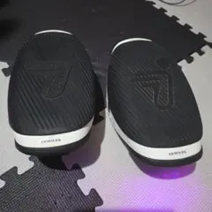 SEGWAY DRIFT W1 完全動作確認済