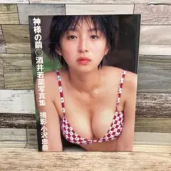 Item thumbnail for item 646b291d-581a-4068-84ac-fdc63d44e635