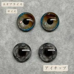 ネオブライス用 立体アイチップ ⑤ - メルカリ